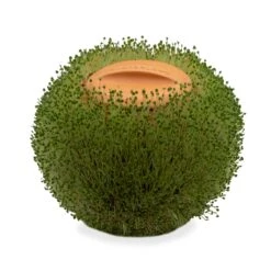 KIKKERLAND Green Orb Terracotta Planter -Handy Home CD547