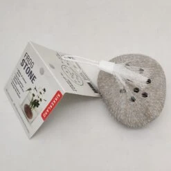 KIKKERLAND Frog Stone -Handy Home CD554 2