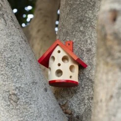 KIKKERLAND Ladybug House 8 KIKKERLAND Ladybug House -Handy Home CD670 Action1