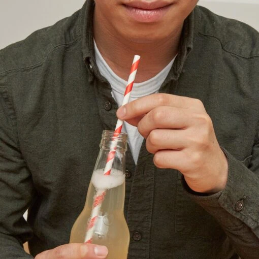 KIKKERLAND Paper Straws + Red
