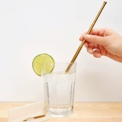KIKKERLAND Copper Travel Straw Set