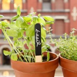 KIKKERLAND Reusable Garden Markers - Set Of 12 - Kitchen Garden - Flower Bed -Handy Home GA06 GARDEN MARKERS ACTION 4322