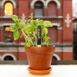 KIKKERLAND Reusable Garden Markers - Set Of 12 - Kitchen Garden - Flower Bed -Handy Home GA06 GARDEN MARKERS ACTION 4326