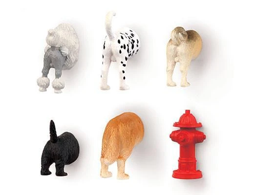 KIKKERLAND Dog Butt Magnets 6 Per Set 2 KIKKERLAND Dog Butt Magnets 6 Per Set - Image 2