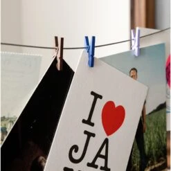 KIKKERLAND Photo Holder Wire With 10 Multicolor Mini Clothespins 6 KIKKERLAND Photo Holder Wire With 10 Multicolor Mini Clothespins -Handy Home MH68 ACTION 05 2015 7330