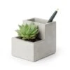 KIKKERLAND Concrete Small Planter And Pen Holder