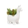 KIKKERLAND Lloyd The Llama Planter