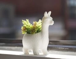 KIKKERLAND Lloyd The Llama Planter -Handy Home PL08 actionshot 2