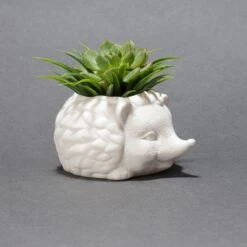 KIKKERLAND Prickles The Hedgehog Planter -Handy Home PL09 Hedgehog Planter Grey 3Q 6793