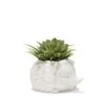 KIKKERLAND Prickles The Hedgehog Planter