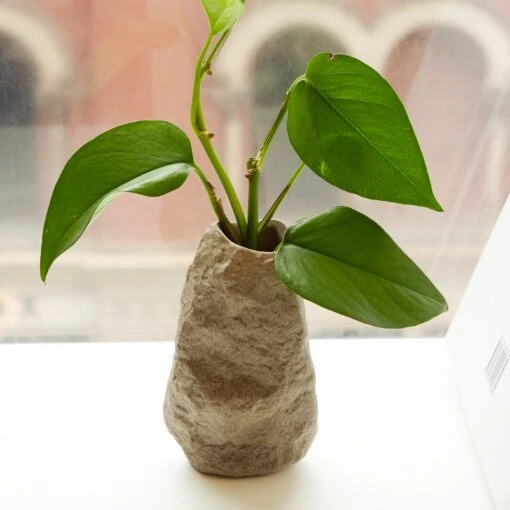 KIKKERLAND Tall Rock Vase