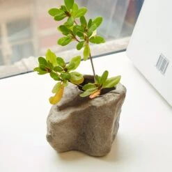 KIKKERLAND Short Rock Vase