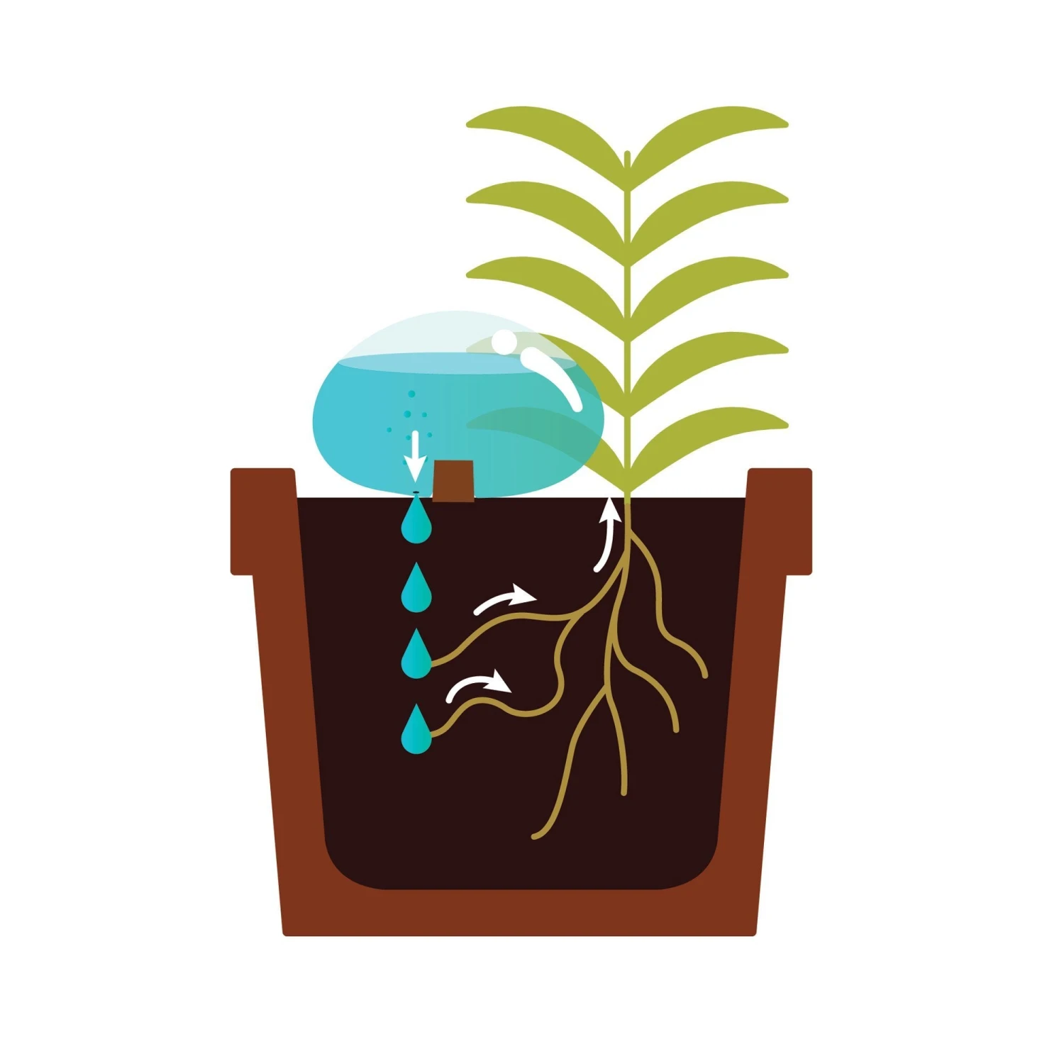 KIKKERLAND Water From A Stone - Blown Glass Automatic Self-Watering Plant Globes - Set Of 2 2 KIKKERLAND Water From A Stone - Blown Glass Automatic Self-Watering Plant Globes - Set Of 2 - Image 2