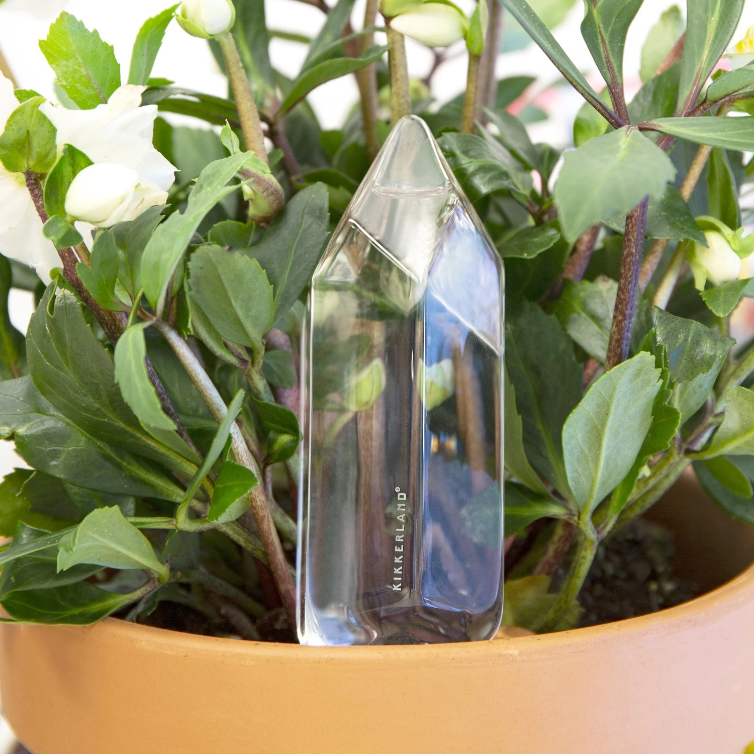 KIKKERLAND Water From A Crystal - Blown Glass Automatic Self Watering - Water Your Plants 4 KIKKERLAND Water From A Crystal - Blown Glass Automatic Self Watering - Water Your Plants - Image 4